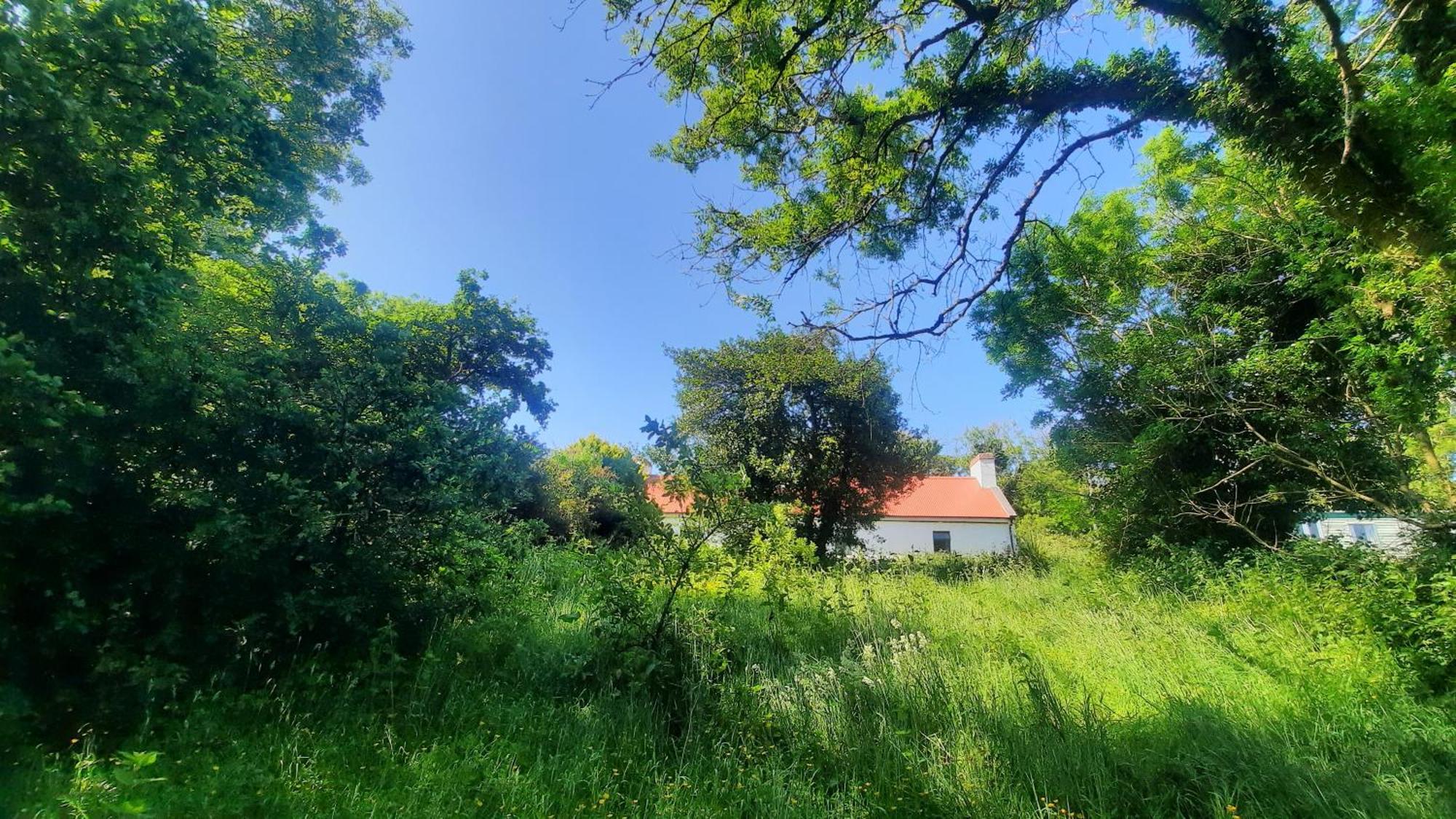 Вілла -Going Back In Time- 200 Year Old Farmhouse Creegh Екстер'єр фото